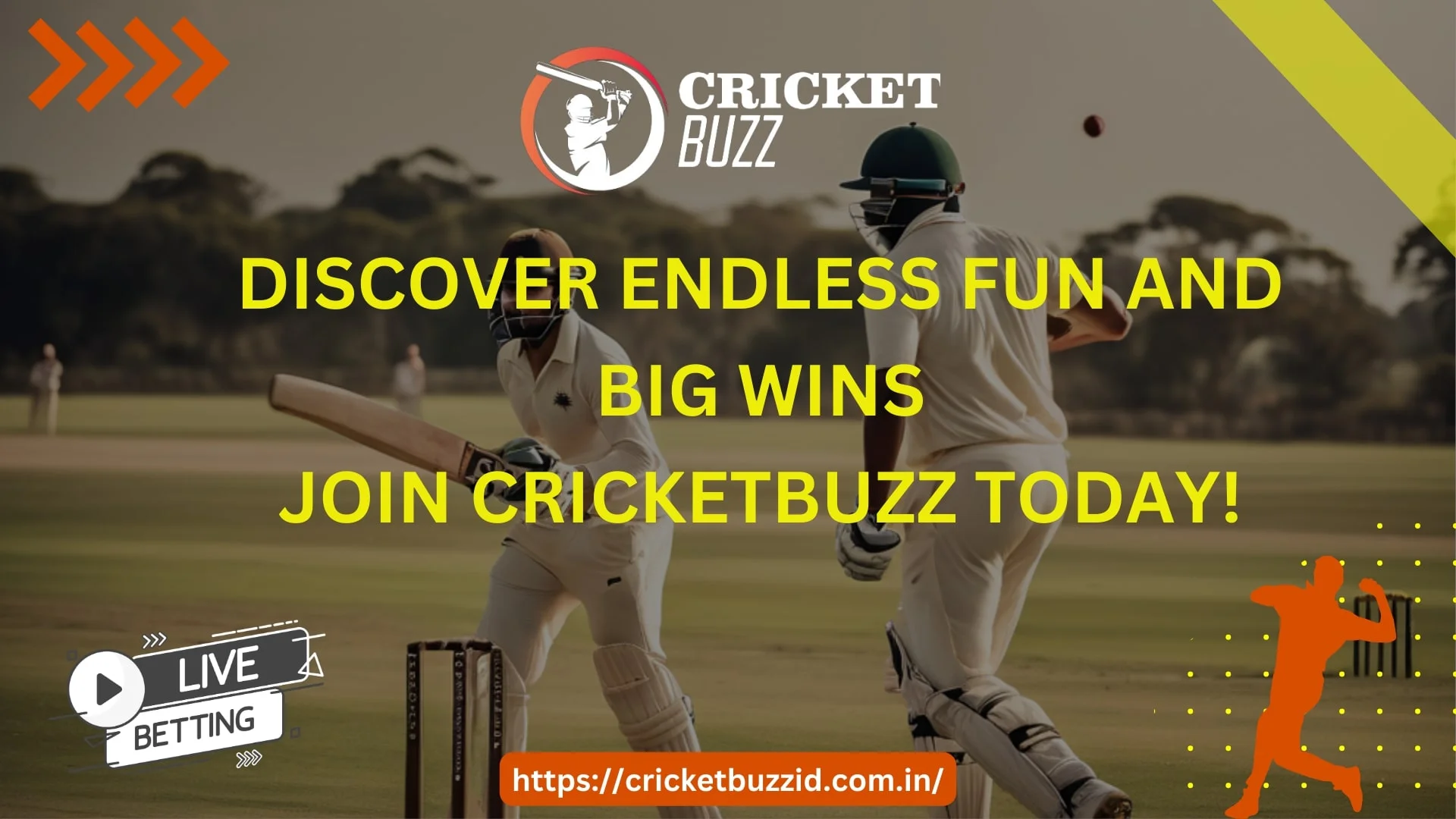 cricket buzz9